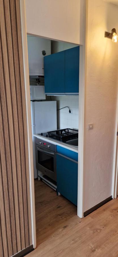 Appartement Saint Lary - Pla D'Adet - Aux Pieds Des Pistes Saint-Lary-Soulan Exterior foto